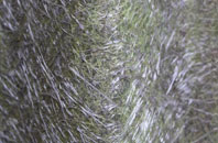 Kenton Bar fibreglass roof work